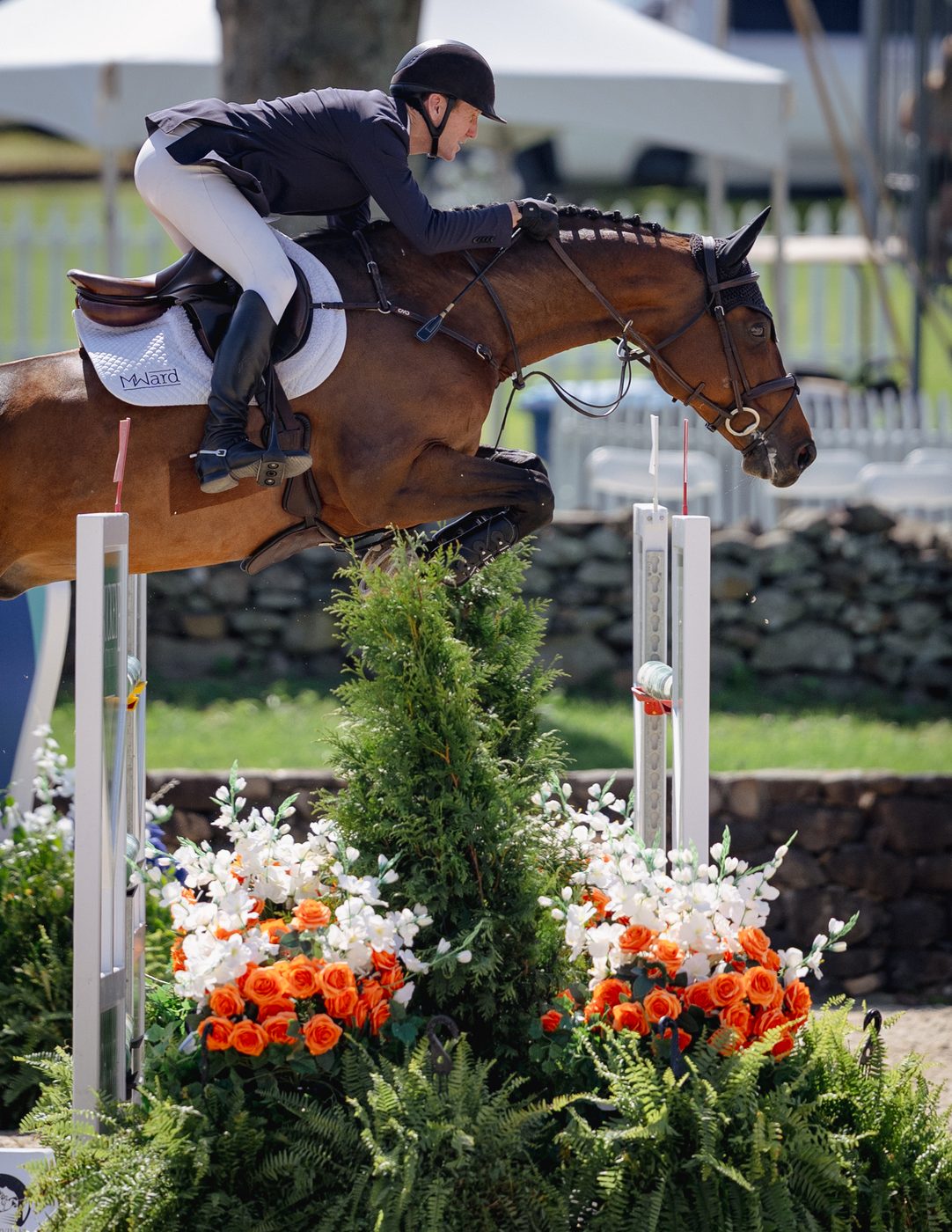 McLain Ward clearing a fence